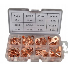 Žiedinių kabelių antgalių rinkinys 60 dalių 6–25 mm² M6/M8 variniai