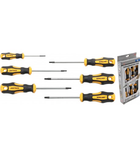 Atsuktuvų rinkinys T10-T30 | 6 vnt