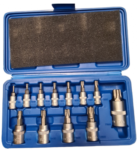 Antgaliai TORX 5-kampų - srauto matuokliui - su skyle - 12d.