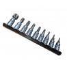 Antgalių ipresuotu į galvutė rinkinys 1/4 TORX T10-T60, 9vnt